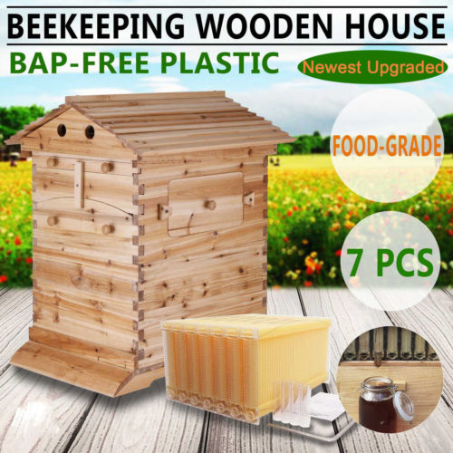 蜂の巣 自動 蜂蜜フローフレーム フレームキット 養蜂 はちみつ採集